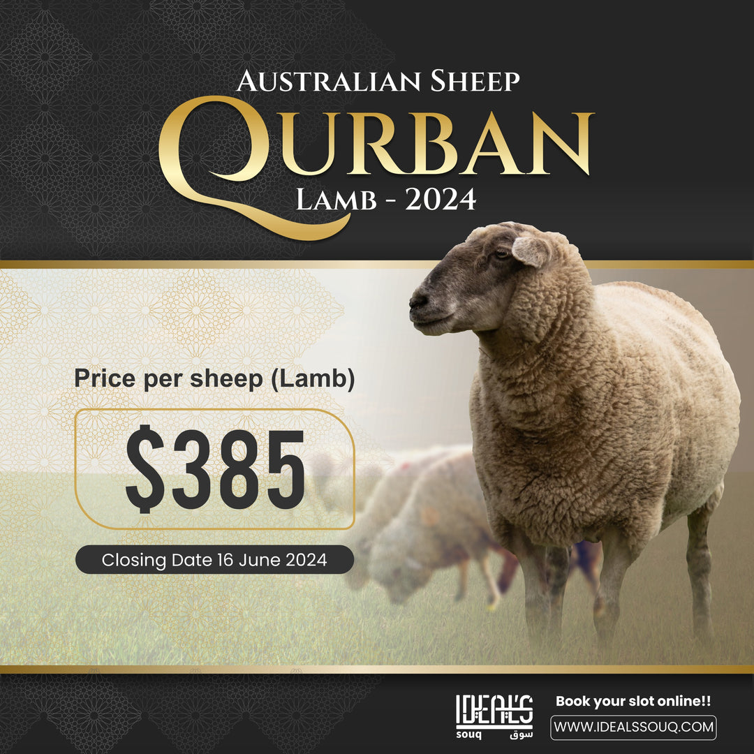 Singapore Lamb Qurban 2024 | Ibadah Korban Singapura 2024 | Ideal's Souq